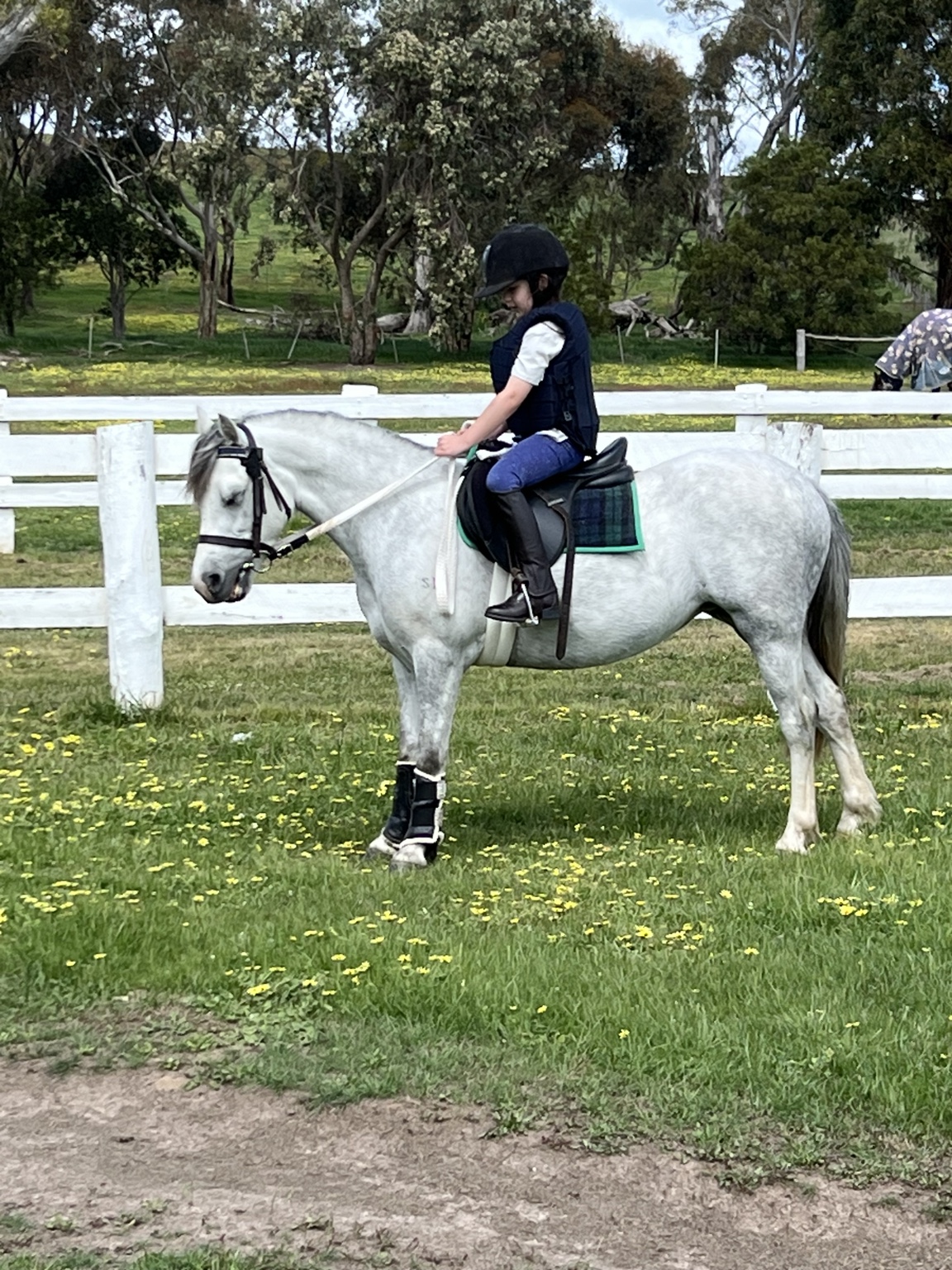 Rider wearing a helmet and body protector on Lumi beside a white fence