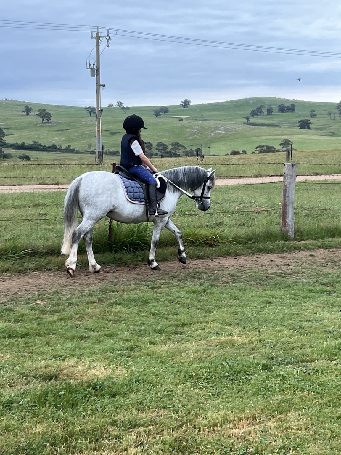 Rider practising on Lumi with green hills in the background