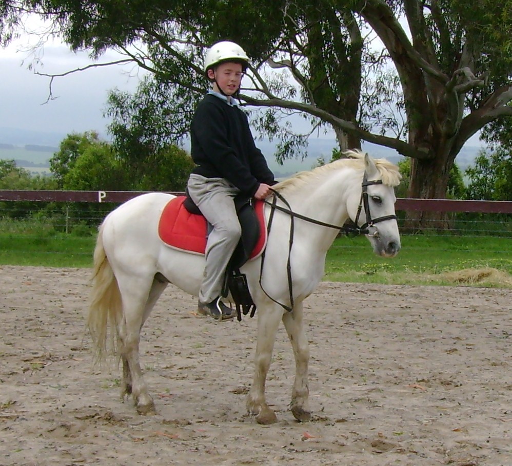 Quiet moments under saddle